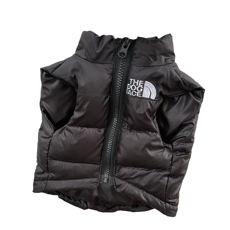 M-42 BACK 29